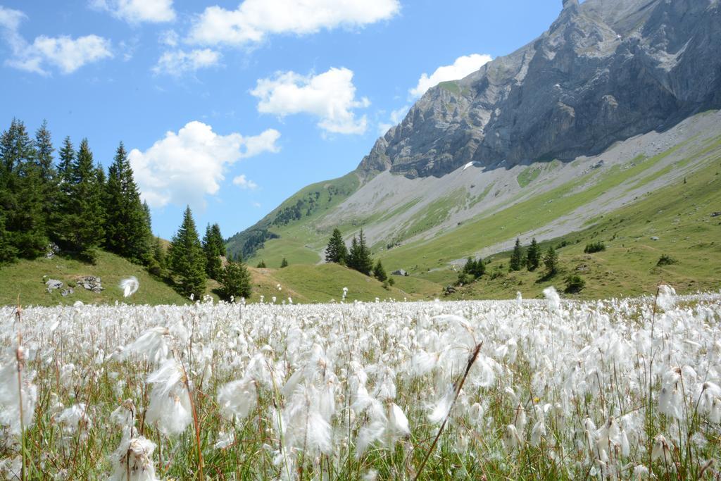 Hotel Hari Im Schlegeli Adelboden Exteriör bild