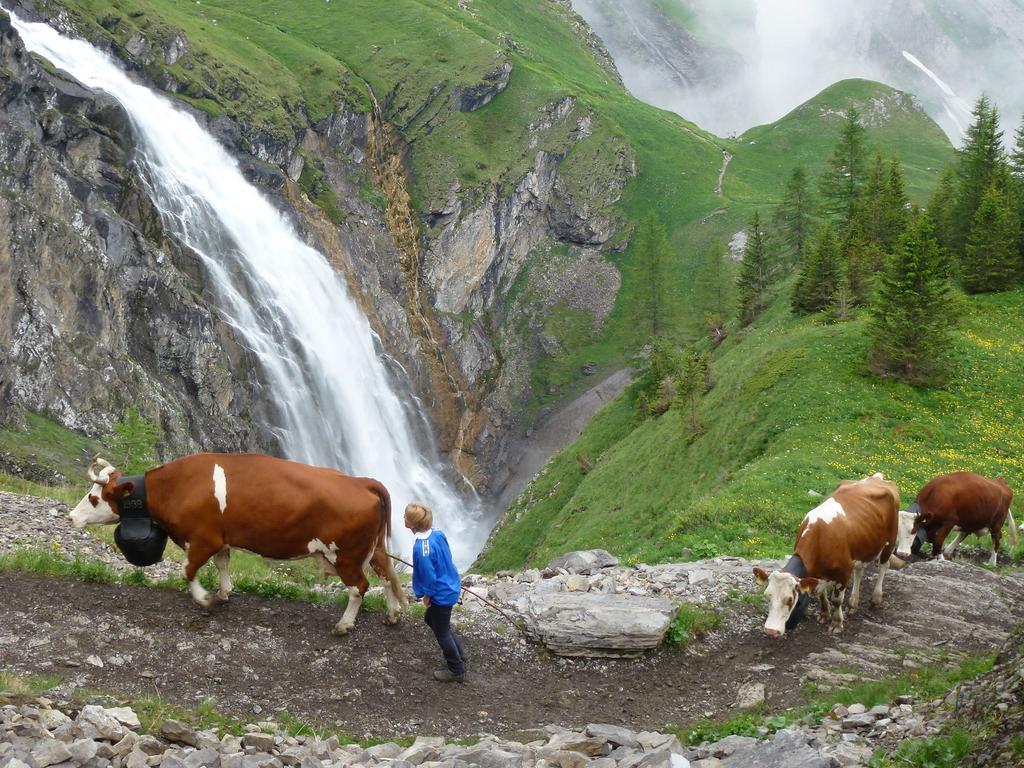 Hotel Hari Im Schlegeli Adelboden Exteriör bild