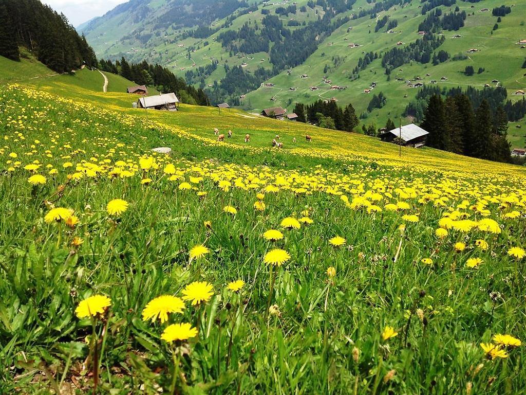 Hotel Hari Im Schlegeli Adelboden Exteriör bild