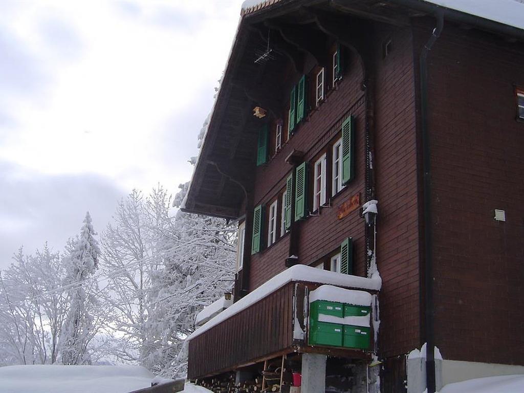 Hotel Hari Im Schlegeli Adelboden Exteriör bild