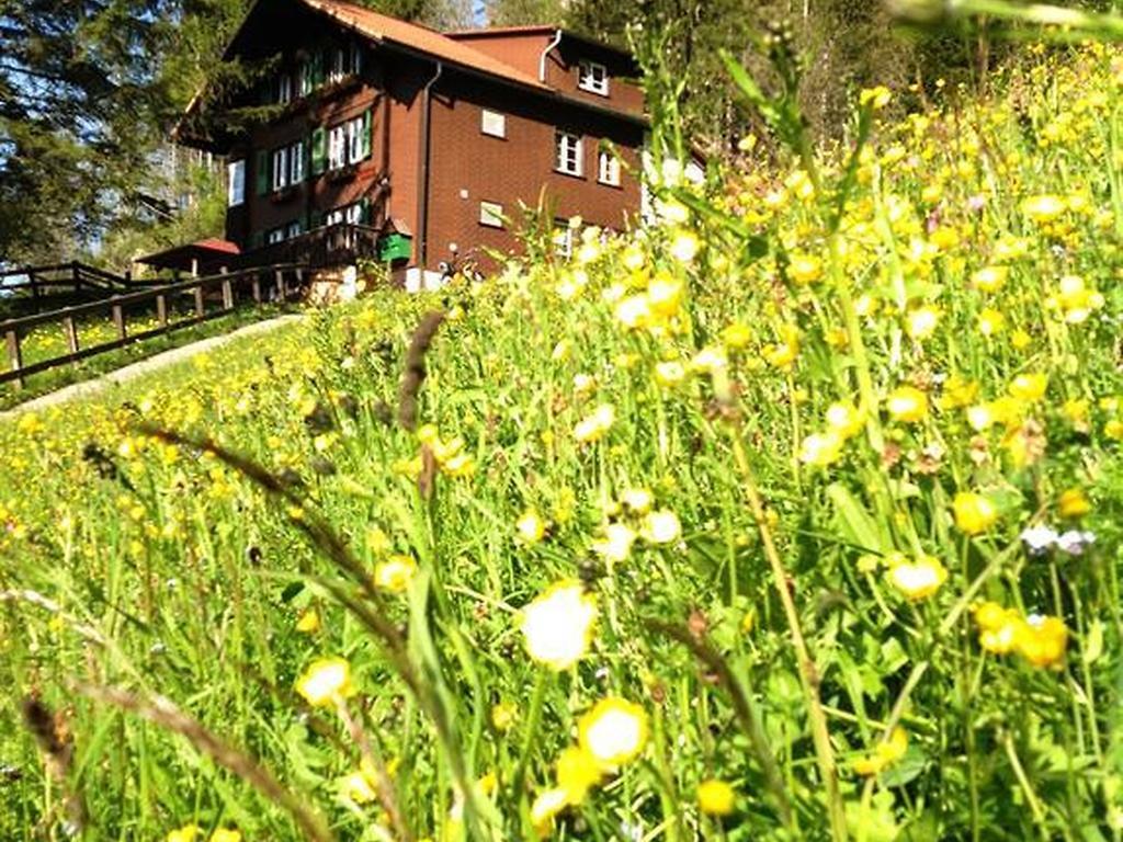 Hotel Hari Im Schlegeli Adelboden Exteriör bild